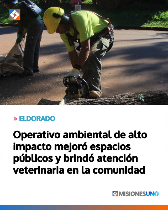 ELDORADO: Operativo ambiental de alto impacto mejoró espacios públicos y brindó atención veterinaria en la comunidad