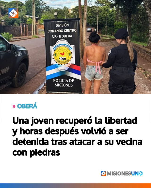 Una joven recuperó la libertad y horas después volvió a ser detenida tras atacar a su vecina con piedras