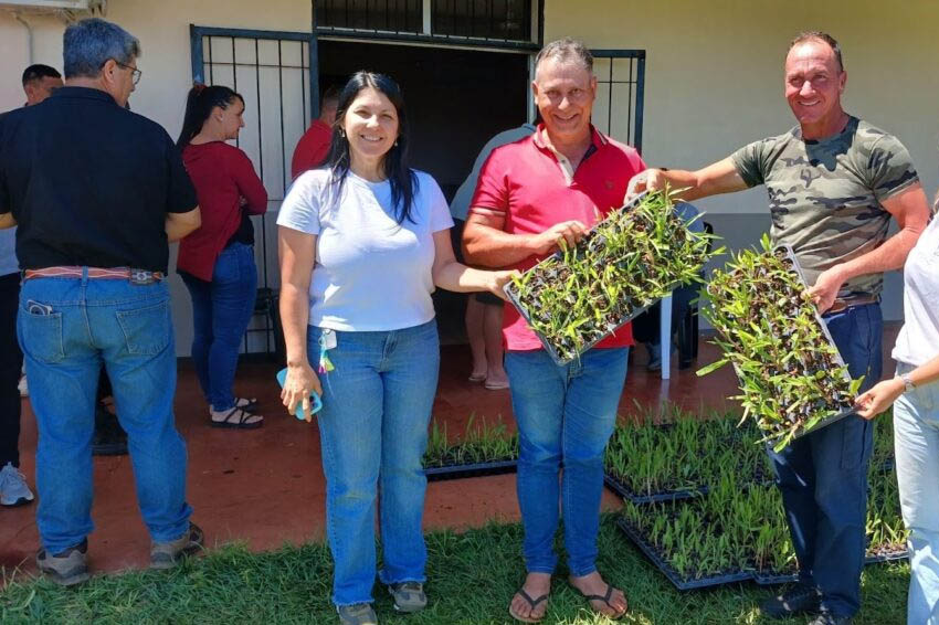 CAMPO RAMÓN: Entrega de plantines para fortalecer la producción forrajera regional