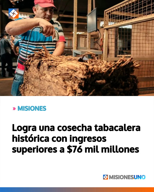 MISIONES: Logra una cosecha tabacalera histórica con ingresos superiores a  mil millones