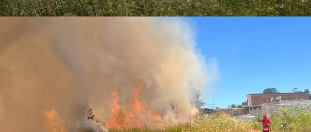 OBERÁ: Incendio de pastizales arrasó más de siete hectáreas en el barrio Punta Alta