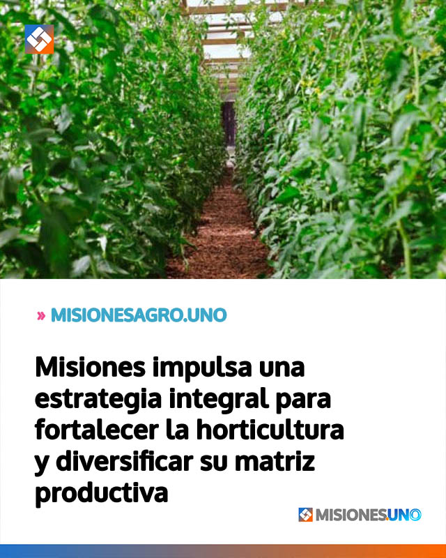 Misiones impulsa una estrategia integral para fortalecer la horticultura y diversificar su matriz productiva
