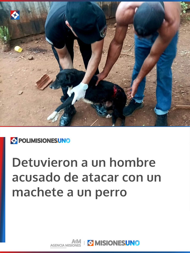 Detuvieron a un hombre acusado de atacar con un machete a un perro